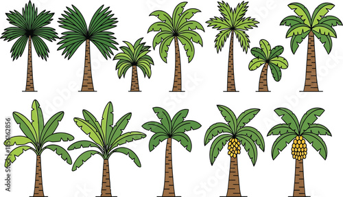 Variety of Exotic Palm Trees Vector Illustrations for Tropical Design Projects
