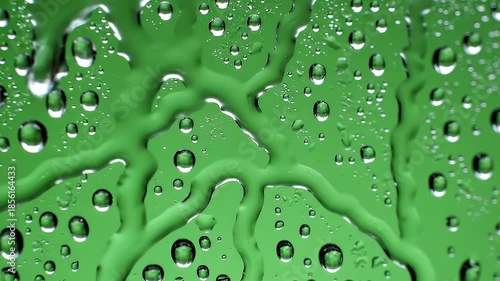 Water Droplets on Green Surface Closeup.