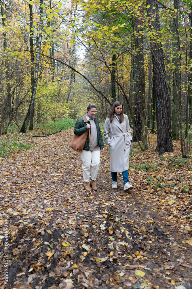 Fototapeta premium Two women walk together along a forest path covered with autumn leaves, tall trees around, natural daylight, relaxed and friendly atmosphere