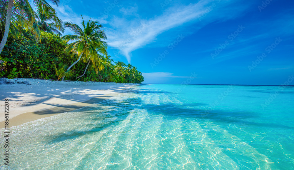 Fototapeta premium Tropical island beach landscape exotic shore coast. Tranquil closeup calm sea water waves with palm trees. Beautiful Panorama. Summer vacation, holiday amazing nature. Relax paradise, Maldives.