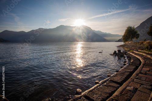 Sun rising behind the mountains overlooking the lake where a beautiful swan swims and the sun causes magnificent reflections. Lugano, Ticino, Switzerland