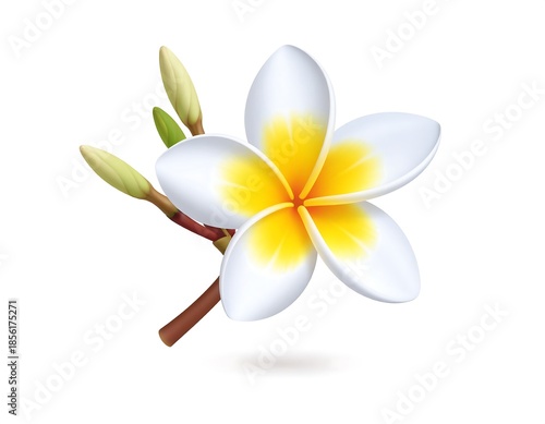 A vibrant, photorealistic rendering features a white and yellow tropical flower with unopened buds and a brown stem, set against white
