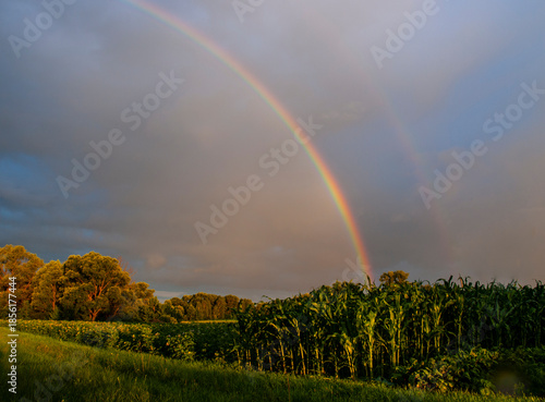 The rainbow is a beautiful natural phenomenon.