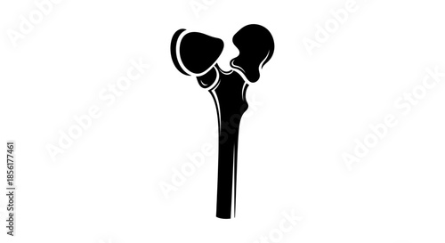 Black silhouette of a human hip bone.