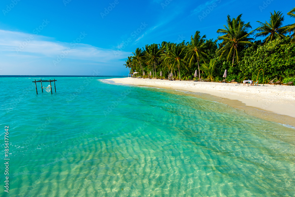 Fototapeta premium Tropical island beach landscape exotic shore coast. Tranquil closeup calm sea water waves with palm trees. Beautiful Panorama. Summer vacation, holiday amazing nature. Relax paradise, Maldives.