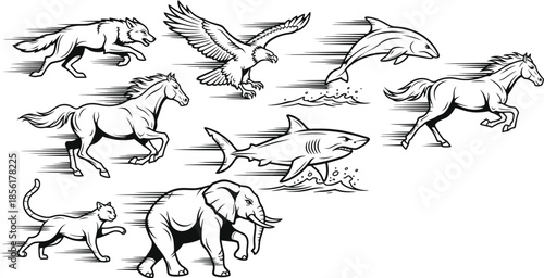 Introducing 'Bengali Wildlife Icons' – a vector set where tradition meets modern design. Now on Adobe Add-ons! 🐅✨ #VectorIcons #AnimalIcons #BengaliDesign #AdobeIllustrator #IconSet