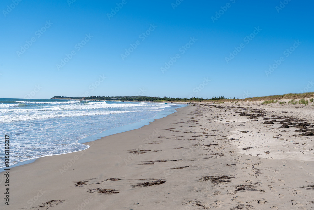 Obraz premium Martinique Beach, Canada - September 27, 2025: A long stretch of white sand at Martinique Beach lies peacefully under a steel-blue sky, showcasing raw coastal nature and tranquil Atlantic beauty.