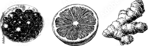 Vintage engraved set of kombucha ingredients with bubbles and ginger sketch