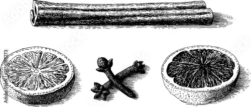 Vintage mulled wine ingredients illustration set for holiday design