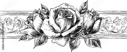 Renaissance floral engraving set featuring three roses for vintage design