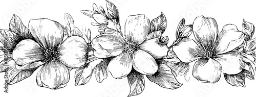 Vintage floral engraving of renaissance flowers for design and decoration