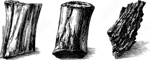 Vintage engraved illustration of smoked rib and pie objects for retro design