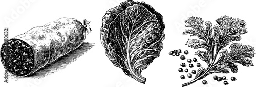 Vintage engraved illustration set with smoked sausage, cabbage leaf, and parsley for culinary design