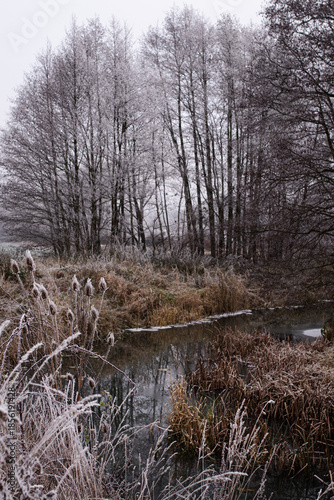 river in winter
