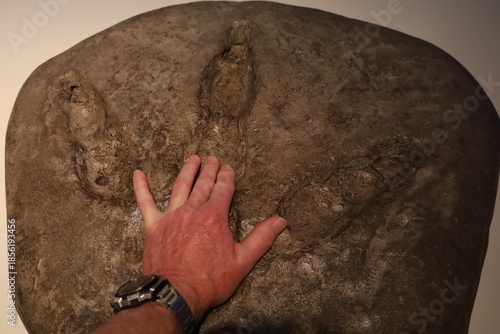 human hand on a moa footprint