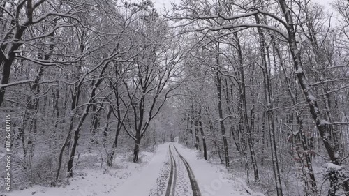 Winterzauber im Burgenland: Drohnenflug über schneebedeckten Waldweg