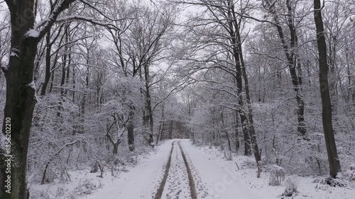 Winterzauber im Burgenland: Drohnenflug über schneebedeckten Waldweg