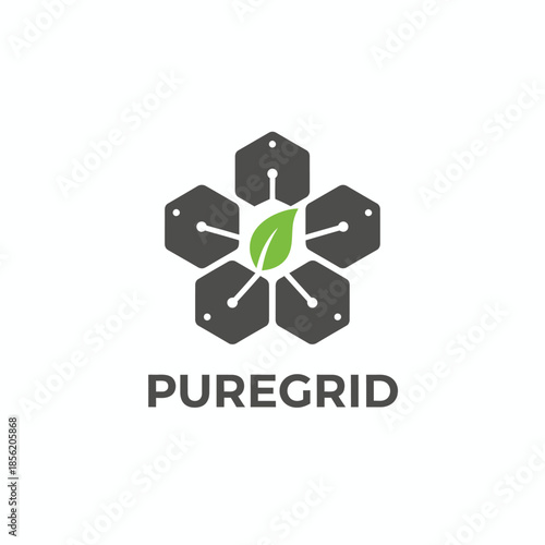A modern grey hexagonal grid logo featuring digital circuit patterns and a central green leaf, symbolizing sustainable tech titled 