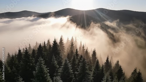 Foggy Forest Landscape with Mountains and Trees.