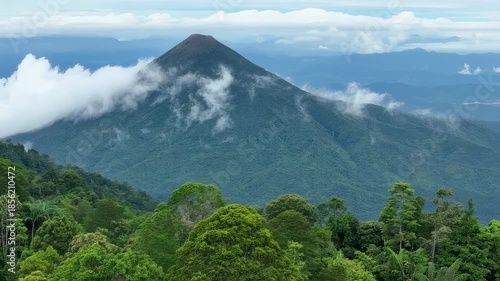 Lush green mountain with clouds partially obscuring its peak. Forest in foreground