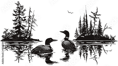 Serene Black and White Illustration of Two Loons Swimming on a Calm Lake with Pine Tree Islands and Reflections, Wilderness Wildlife Nature Art