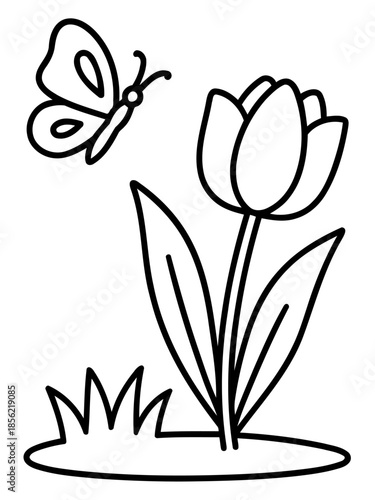 Spring Garden in Sketch: Delicate sketch of a blossoming tulip, its petals unfurling towards the sky, with a gracefully dancing butterfly flitting nearby, a testament to the spring season.