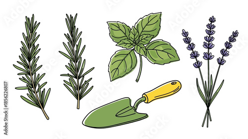 A vibrant collection of fresh herbs and a gardening trowel.