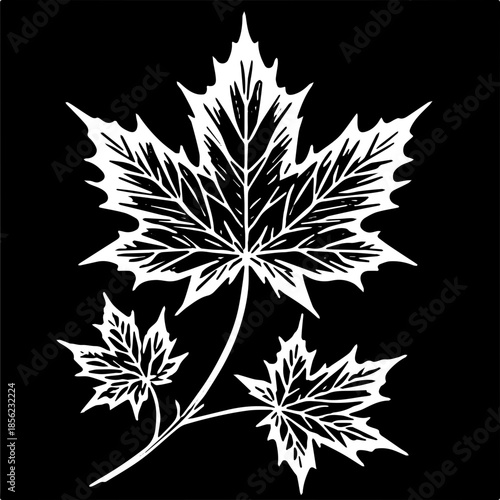 maple leaf silhouettes, autumn maple leaves isolated on white background