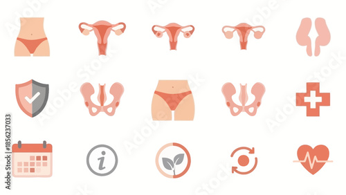 Collection of flat design icons representing women's health, gynecology, reproductive system, and general well-being, including organs, medical symbols, and lifestyle elements.