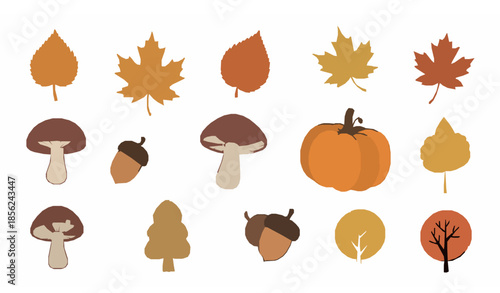 Simple botanical autumn doodle set with leaves mushrooms pumpkins oak and acorns vector
