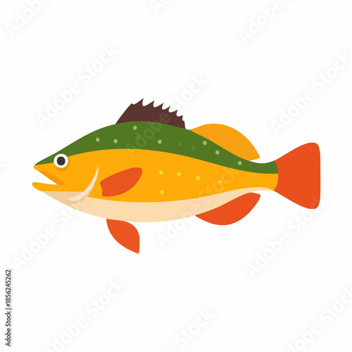 Isolated illustration of a colorful fish with a green back, gold body, and orange fins for artwork or design