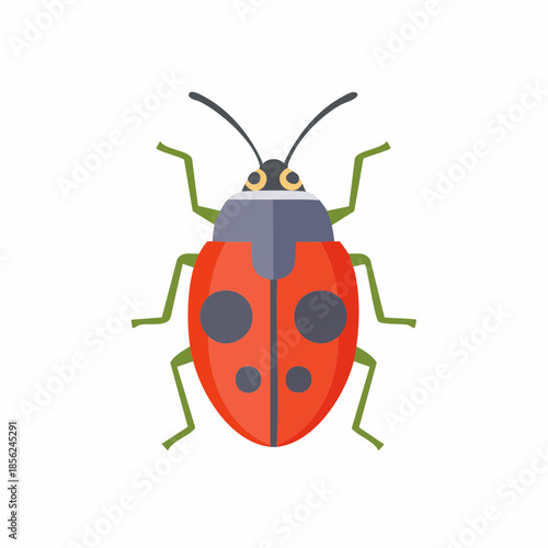 Cartoon Red Ladybug with Black Spots Illustration Isolated, Detailed Insect Design for Children or Nature Designs, Vector