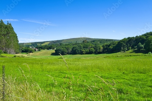 경관, 목초, sky, 들판, 네이처, green, 목초지, 마운튼, 여름, 고개, 시골, 구름, 나무, 경치, 봄, 농촌, 국가, 경작, 대지, 계곡, 파노라마, 수평선