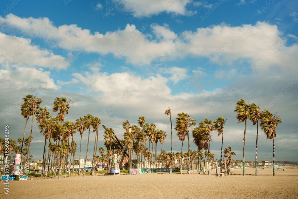 Naklejka premium Palm trees on Venice Beach, Los Angeles, California