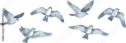 Stylized birds in flight illustration, blue gray tones, dynamic wing motion, graceful nature artwork, ornithology concept, decorative design element