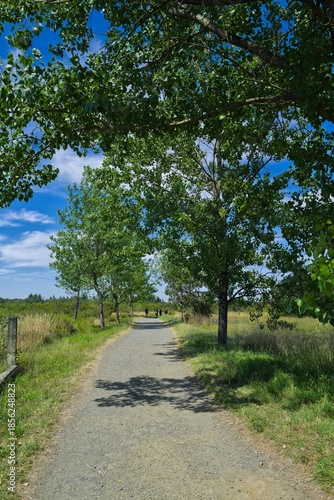 길거리, 나무, 경관, 네이처, sky, 경로, green, 국가, 여름, 목초, 봄, 시골, 농촌, 길, 레인, 여행, 때, 공원, 들판, 아스팔트, 보도, 구름