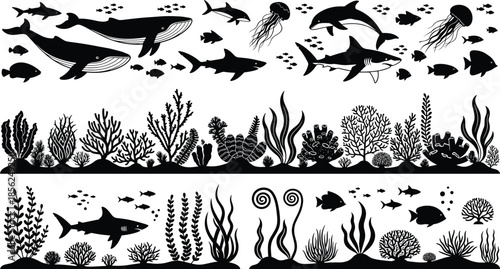 Underwater ocean scene, marine life silhouettes, coral reef illustration, sea animals, whales dolphins sharks, fish silhouettes, aquatic biodiversity, ocean design, vector art, nature illustration