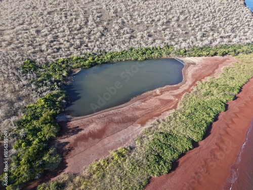 Overview Red Beach, Rabida Island, Galapagos