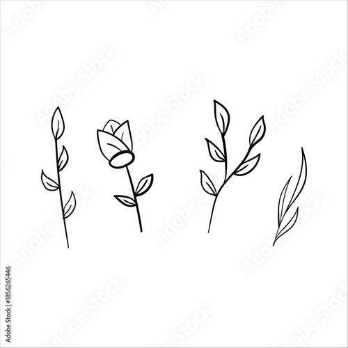 bootanical doodle item