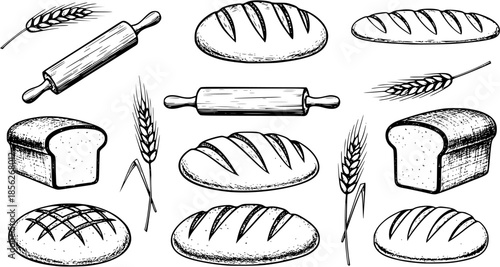Bakery Bread and Wheat Hand Drawn Elements Vector