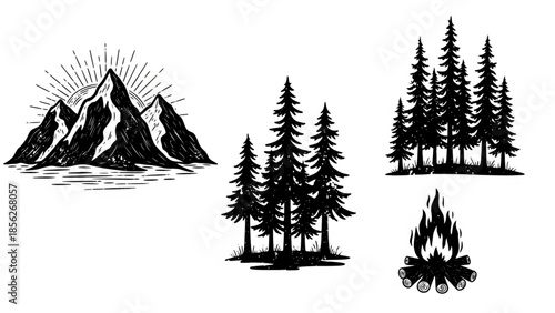 Mountain and Pine Forest Landscape Vector