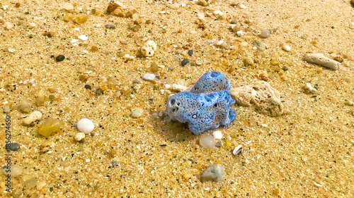 Blue coral pebbles on the beach sand blue water Thailand.
