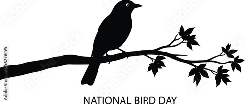 Silhouette of a solitary songbird perched upon a delicate tree branch adorned with dark maple leaves commemorating national bird day celebration