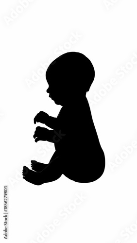 Silhouette of a Fetus in Profile.