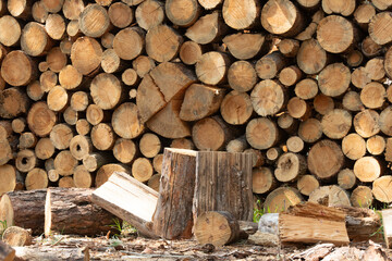 Fototapete Brennholz Textur cut wooden logs stacked for background  © serhii