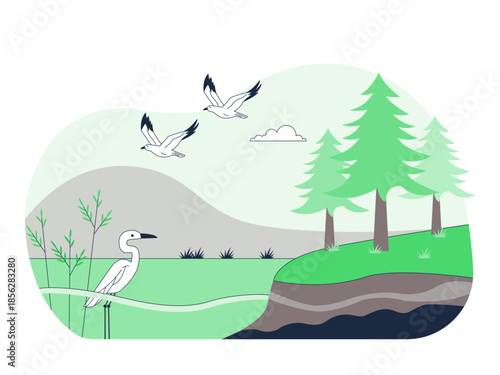 Wetland ecosystems support unique plant life (hydrophytes) adapted to oxygen-poor, waterlogged soils. Ecosystem vector illustration. Flat illustration concept.
