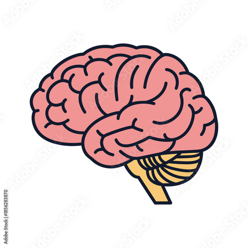 Illustration of a human brain Vector