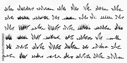 Grass line doodle. Outline grassland or meadow sketch, simple field design. Black grass brush stroke hand drawn texture for garden pattern or lawn. Herb marker vector isolated element