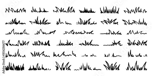 Grass line doodle. Outline grassland or meadow sketch, simple field design. Black grass brush stroke hand drawn texture for garden pattern or lawn. Herb marker vector isolated element