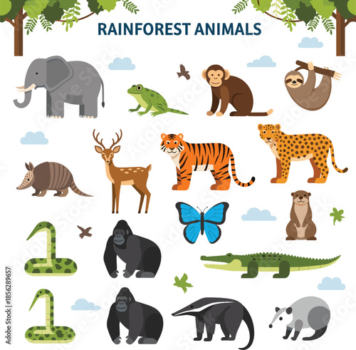 Large collection of flat vector rainforest animals featuring elephant tiger monkey sloth gorilla and crocodile for educational kids books and posters.